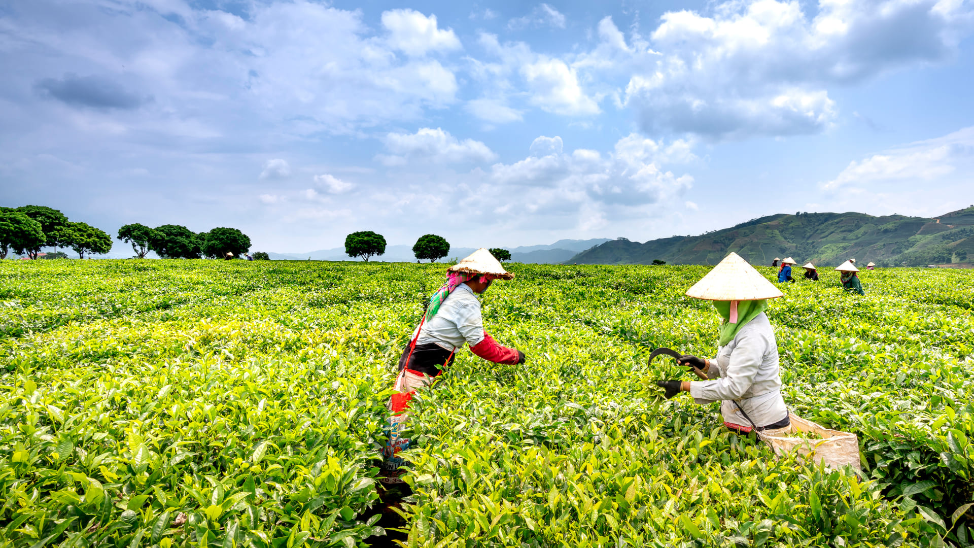 Gambar Utama Perusahaan